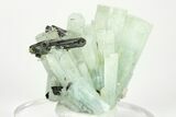 Aquamarine Crystal Spray - Erongo Mountains, Namibia #208026-5